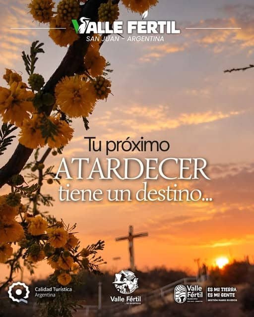 Taller